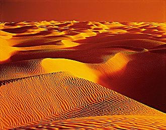 电影《小魔怪》角色Gizmo将登陆《华纳大乱斗》