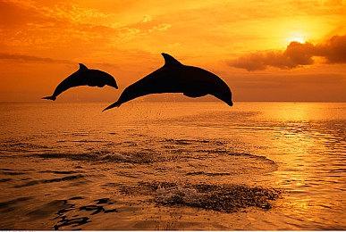 暴雪总裁对《守望2》《暗黑不朽》《暗黑4》感到自豪